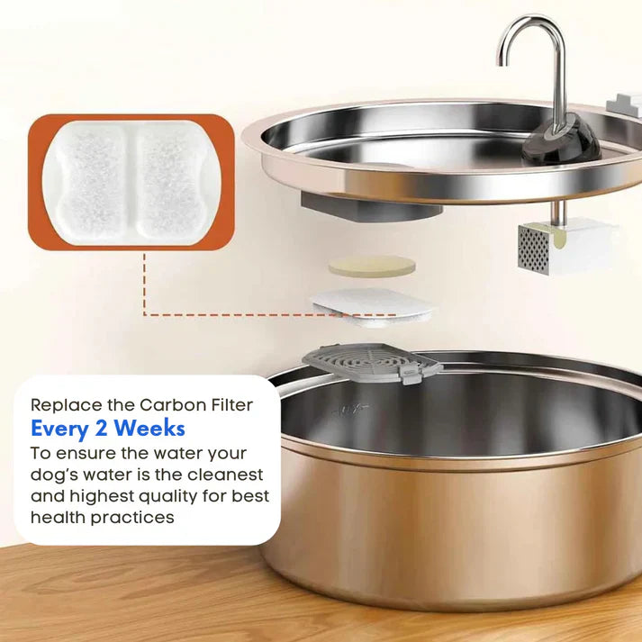 Health and Happiness Fountain Kit