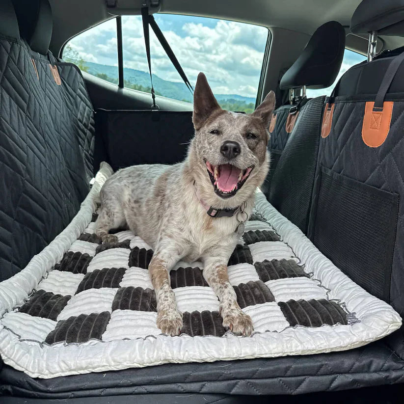 Hard Bottom 6-In-1 Dog Back Seat Cover , Waterproof Mesh Window, Non-Slip for Cars, Trucks and Suvs +FREE Car Backseat Dog Bed + FREE Dog Safety Belt